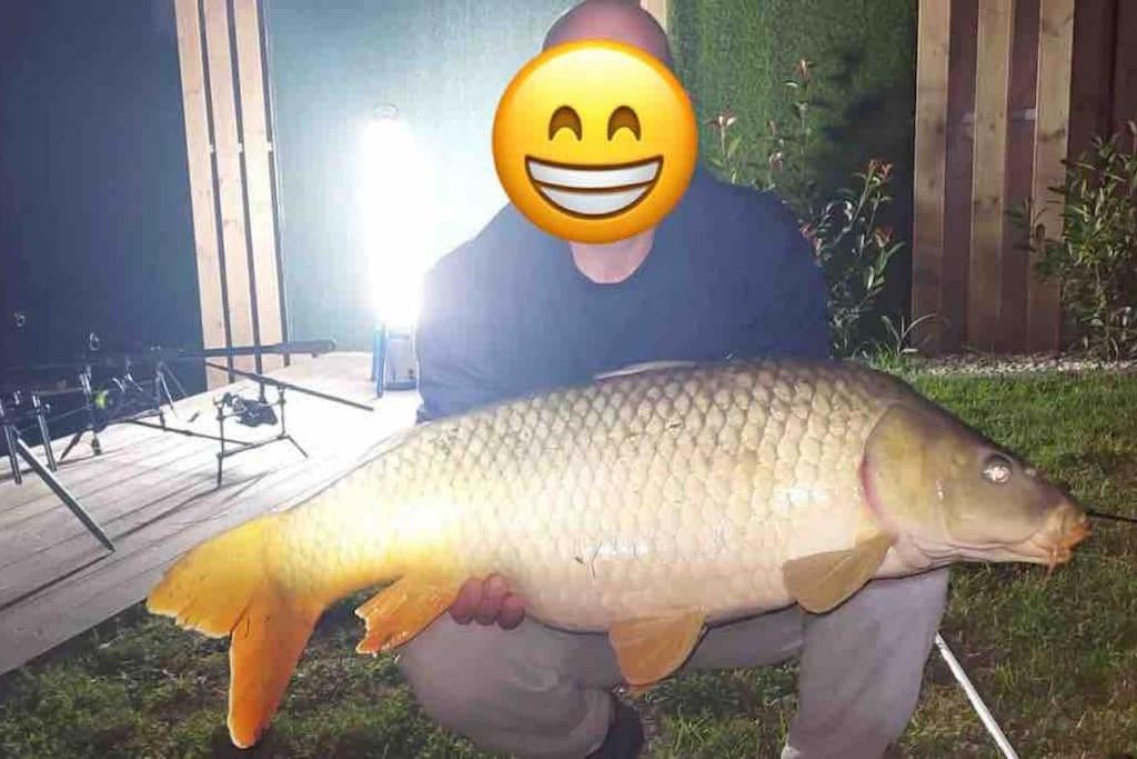 Domeglamping At Fishinglake Sagvar Bagian luar foto