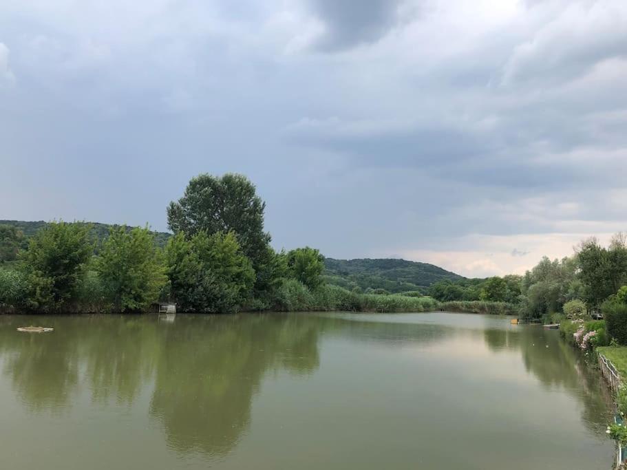 Domeglamping At Fishinglake Sagvar Bagian luar foto